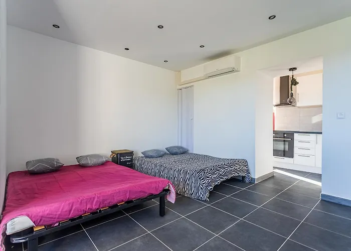 Et Mimosa - 2 Km De La Bormes-les-Mimosas